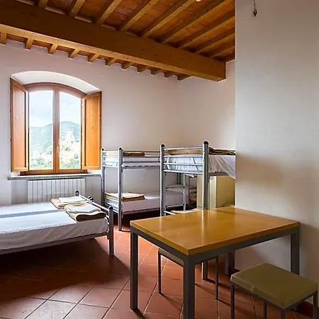 Student's Gowett Campiglia Marittima