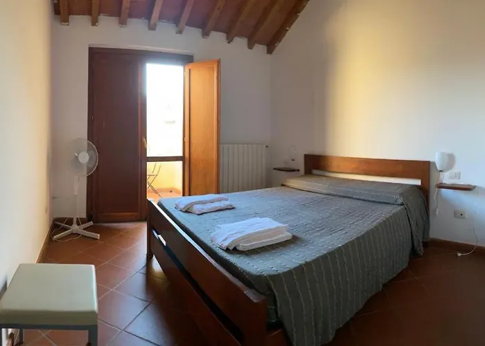 Student's Gowett Campiglia Marittima