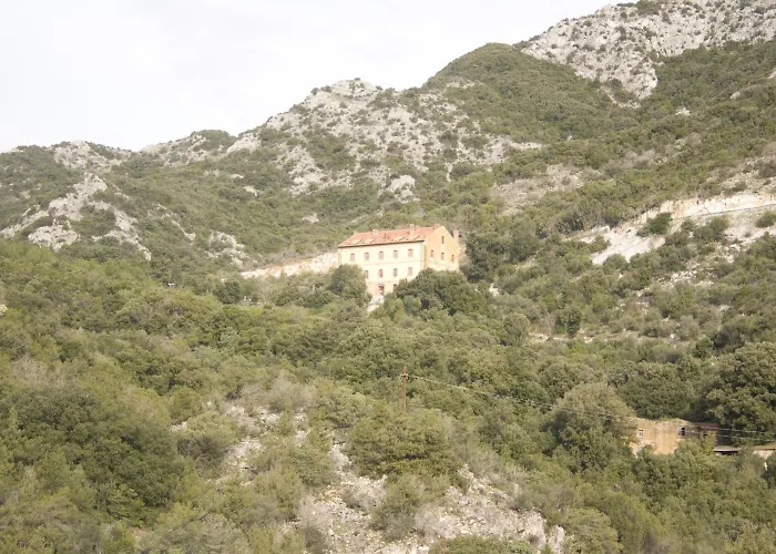Student's Gowett Campiglia Marittima