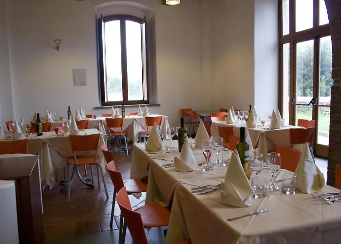 Student's Gowett 3* Campiglia Marittima