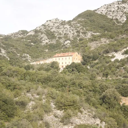 Student's Gowett Campiglia Marittima